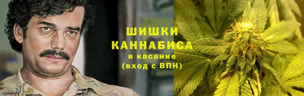 ПСИЛОЦИБИНОВЫЕ ГРИБЫ Лихославль