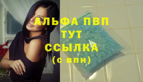 ПСИЛОЦИБИНОВЫЕ ГРИБЫ Лихославль