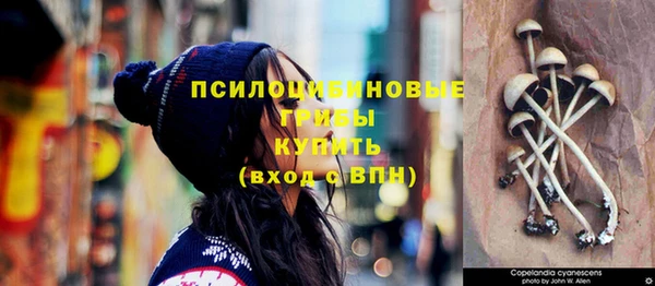 тгк Абдулино