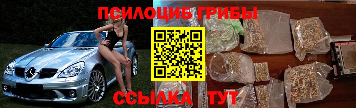 Воронеж  Псилоцибиновые грибы Cubensis  Вход с VPN 