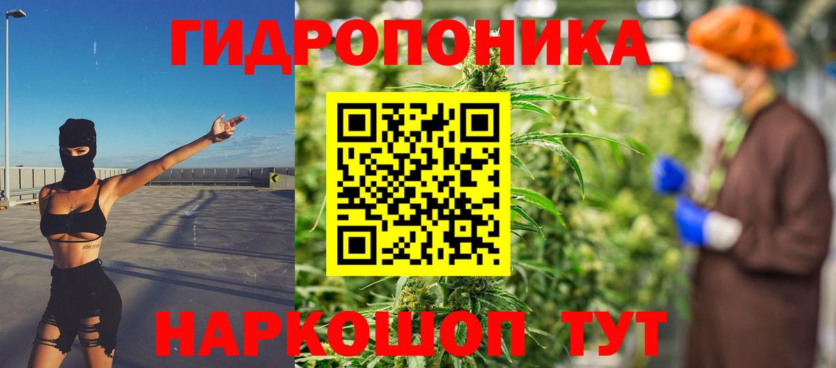 Канабис марихуана  Вход с VPN  Бошки Шишки Bruce Banner  Воронеж  Канабис семена 